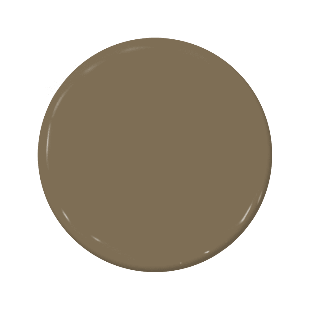 【BRUNT】Heaven and Earth TAN Earth C2-887 — Earthy Brown | C2 Paint