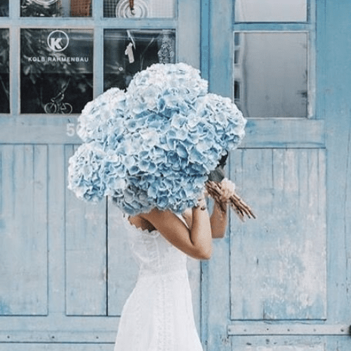Supercharge Your Aspirations by Choosing the Right Paint Color