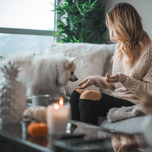 10 Ways To Maximize Your Wellbeing at Home