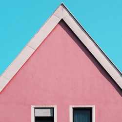 THE REBELLIOUS SIDE OF PINK