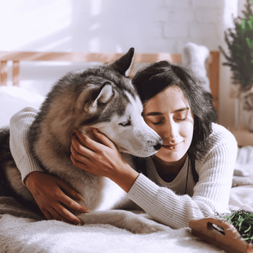 Spring Clearance: How to Get Your Home Ready for New Energy
