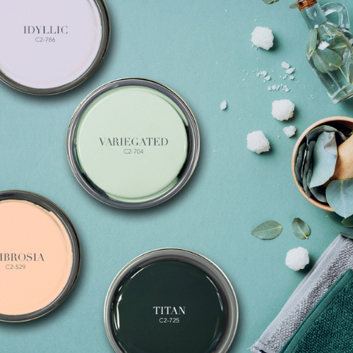 Wellness Colors: How Paint Color Is Shaping the Future of Interior Design