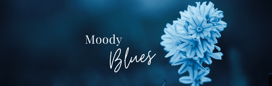 A Shade for Every Occasion