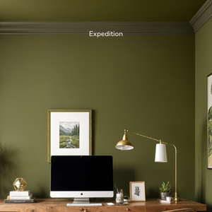 Into the Wild Color Stack