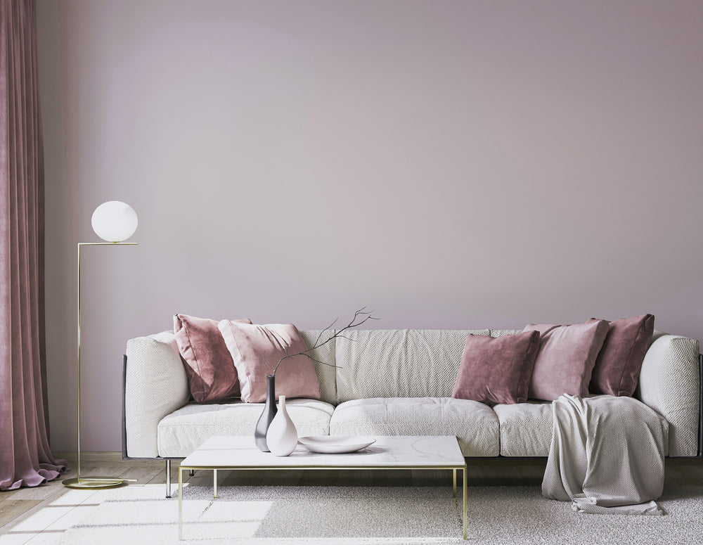 Bella Donna - C2-782-C2 Paint