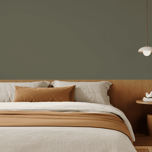 Toadstool - C2-902-C2 Paint