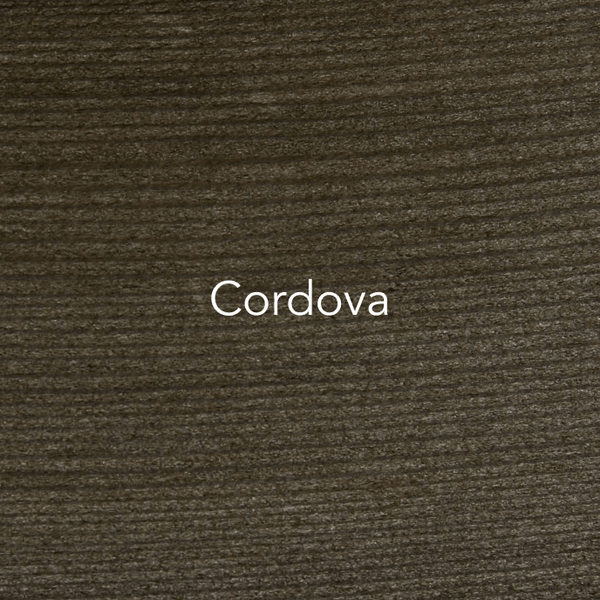 C2 Guard Waterproofer and Deck Sealer