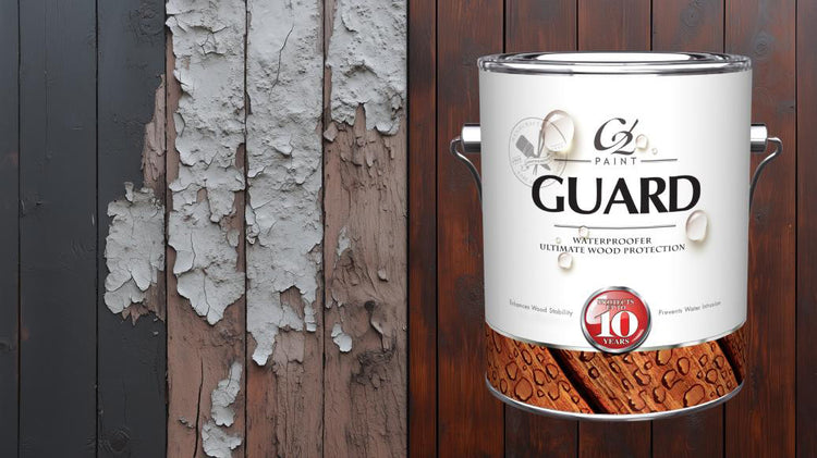 C2 Guard — Penetrating Protection for Wood & Masonry