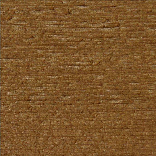 Sugar Maple - T002-C2 Paint