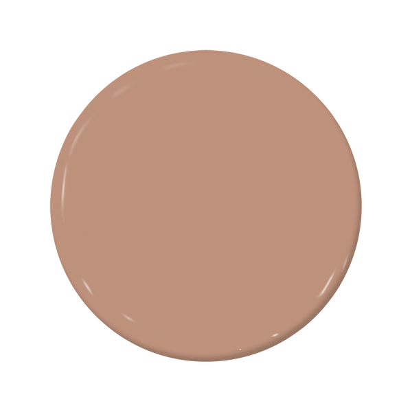Berry Brown - C2-541-C2 Paint