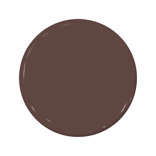 C2 Raku Raku C2-549 — Earthy Brown | C2 Paint