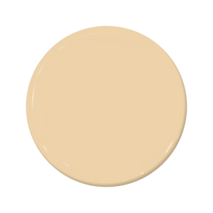Labrador - C2-561-C2 Paint