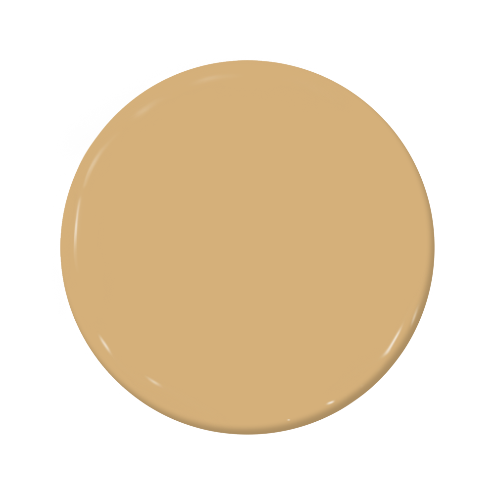 Palomino - C2-575-C2 Paint