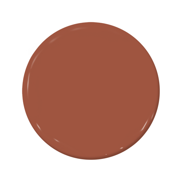 Roasted Tomato - C2-583-C2 Paint