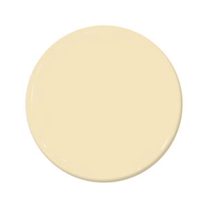 Sugar Cookie - C2-593-C2 Paint
