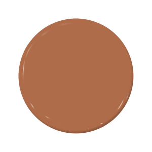 Tortoise - C2-616-C2 Paint