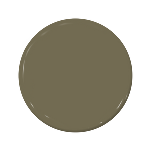 Turtleback - C2-645-C2 Paint