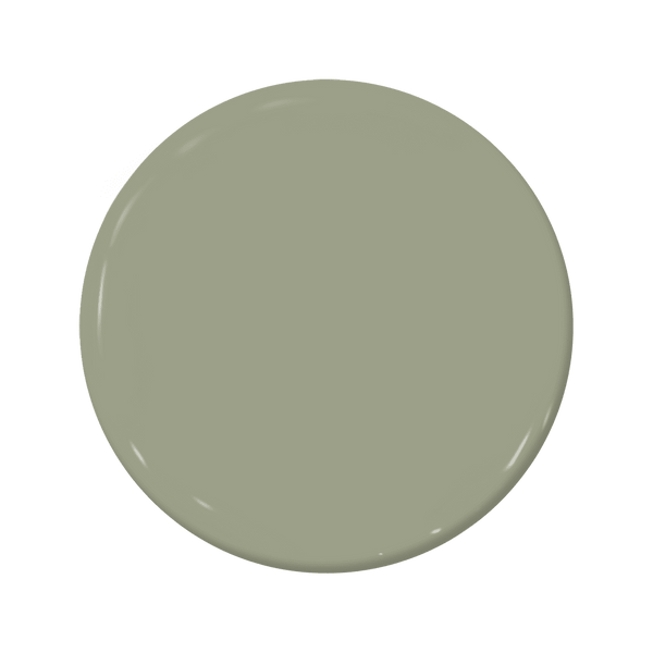 lily white benjamin moore paint Lilypad C2-683 — Calming Green