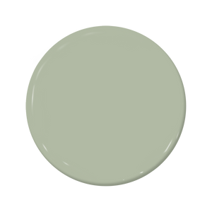 Balsam - C2-684-C2 Paint