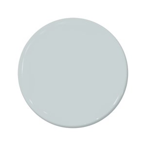 Overcast - C2-738-C2 Paint