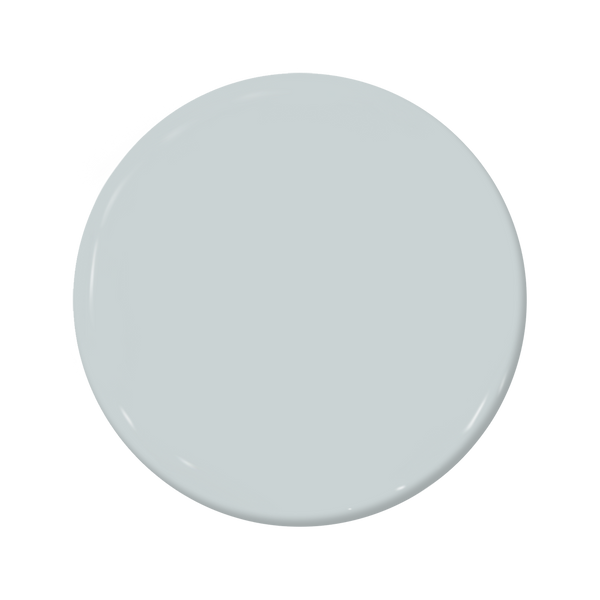 Overcast - C2-738-C2 Paint