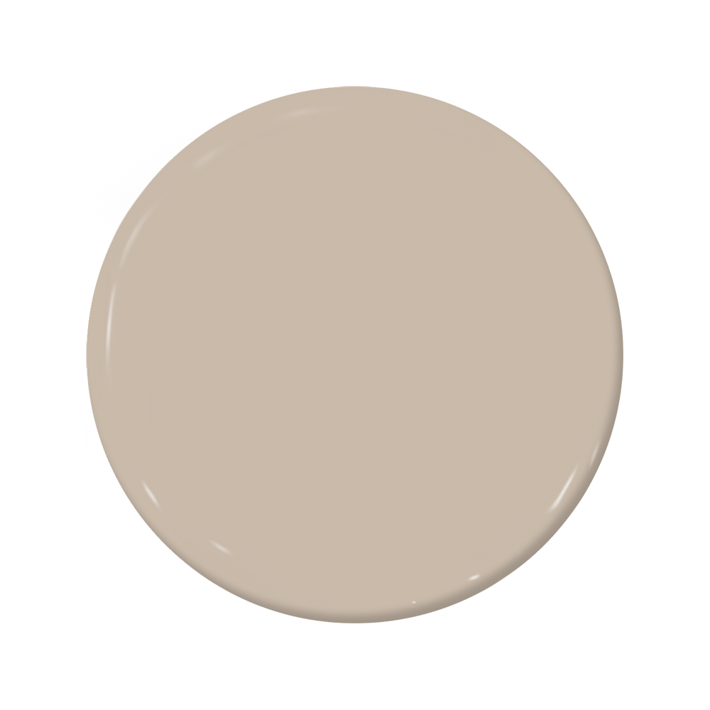 Cappuccino Froth - C2-784-C2 Paint