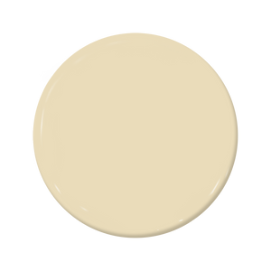 Canvas - C2-865-C2 Paint
