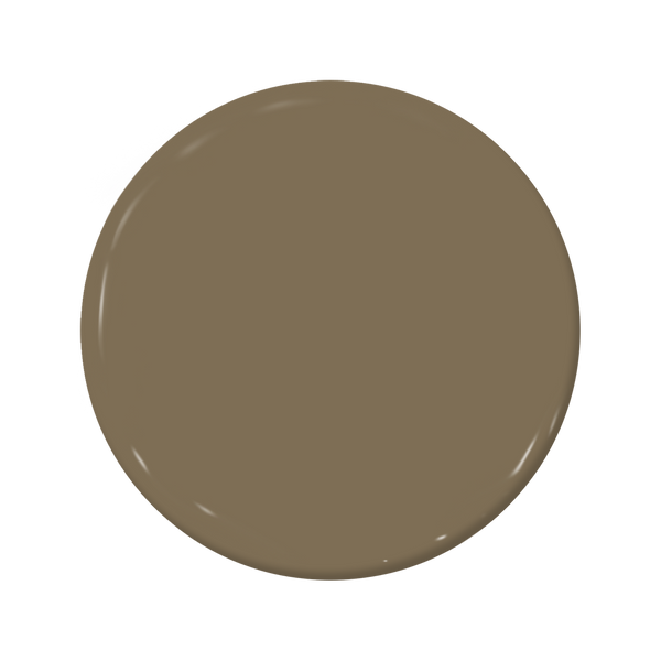 Earth - C2-887-C2 Paint