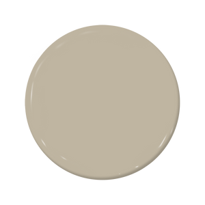 Ostrich - C2-909-C2 Paint