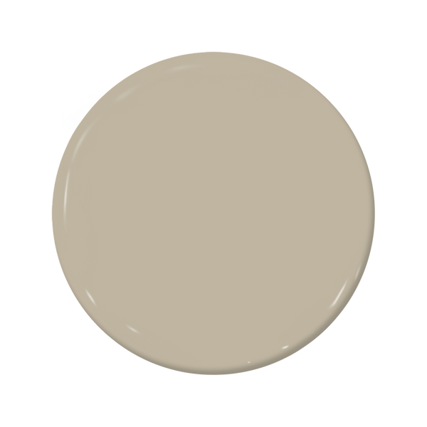 Ostrich - C2-909-C2 Paint
