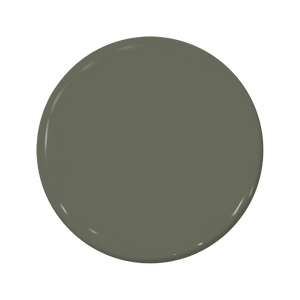 Marshland - C2-918-C2 Paint
