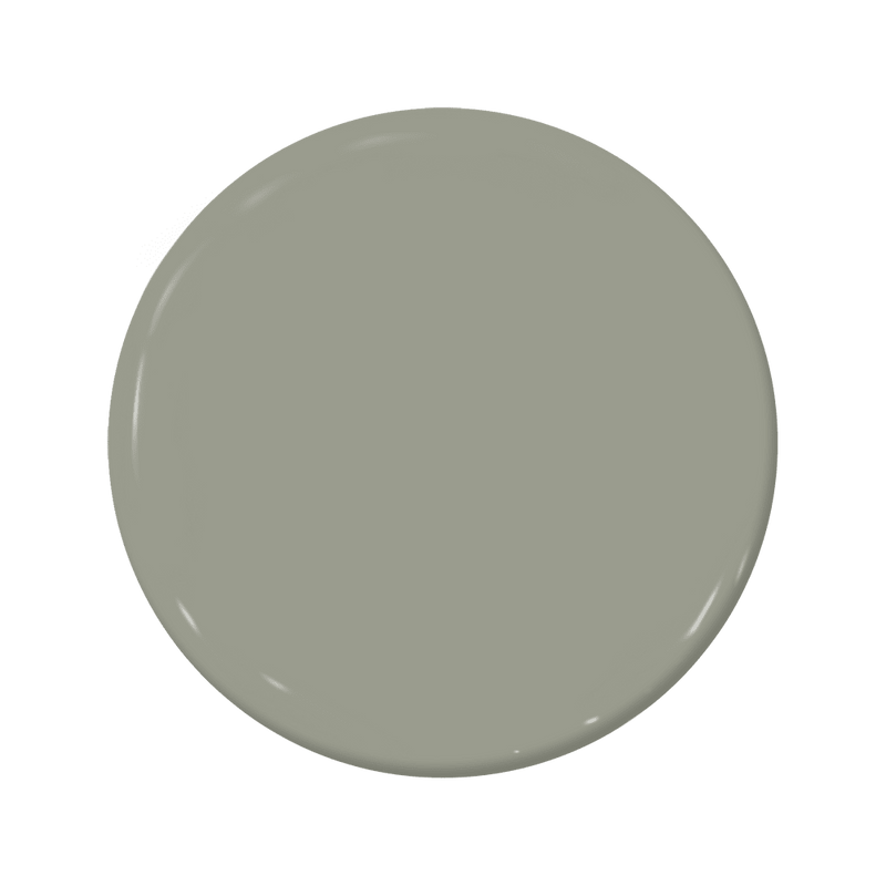  Spanish Moss C2 940Spanish Moss C2940C2 Paint