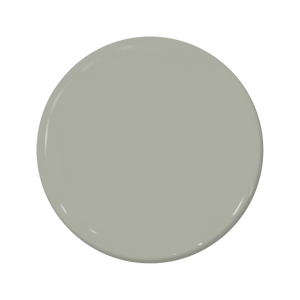Russian Olive - C2-941-C2 Paint