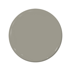 Alloy - C2-971-C2 Paint